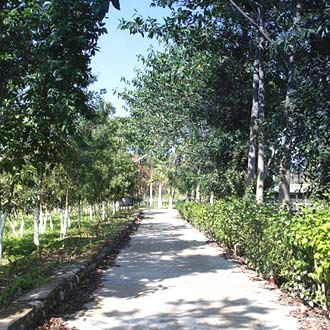 Vishranti (A Doon Valley Resort & Spa) Vishranti (A Doon Valley Resort & Spa)