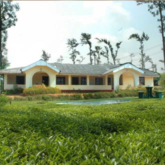 Tata Coffee Plantation Trails (Tea Experience) Tata Coffee Plantation Trails (Tea Experience)