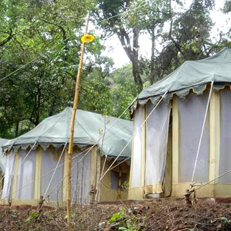 Planters Camp Planters Camp