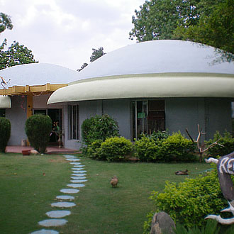 Mowgli's Den