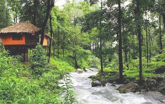 Blue Ginger Wayanad Resorts Blue Ginger Wayanad Resorts