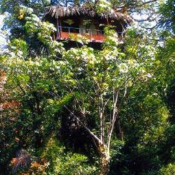 Green Magic Nature Resort Green Magic Nature Resort