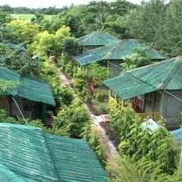Sunderban Tiger Camp ( 114 KM from Kolkata)