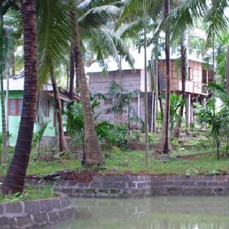 Palm Grove Eco Resort Palm Grove Eco Resort