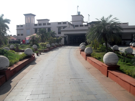 Golden Tulip
