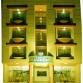 Hotel Natraj