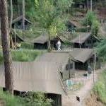 Camp BodhiSatva