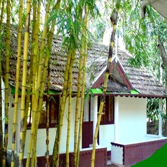 Orchid Resort Orchid Resort