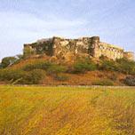 The Hill Fort The Hill Fort