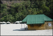 The Camp 5 Elements
