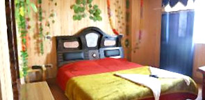 TG Rooms  Residency Road, Srinagar