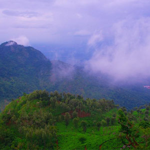 Coonoor - What to See